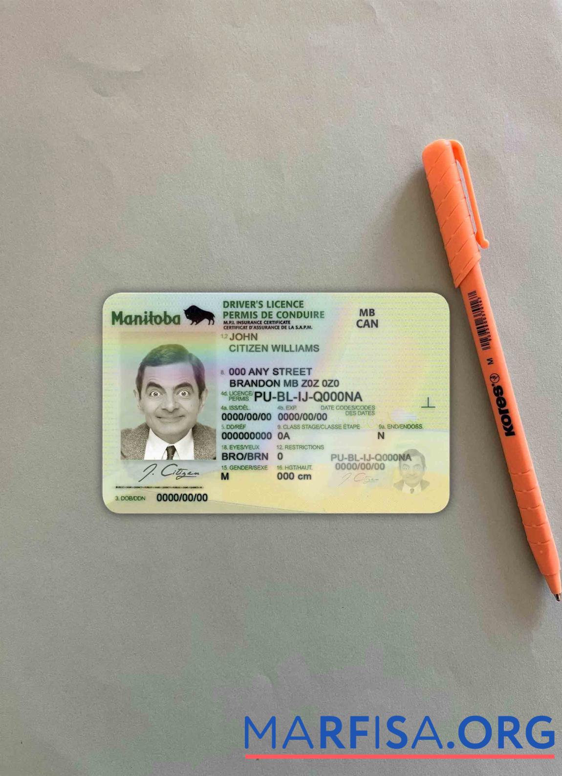 Realistic Canada Manitoba DL photolook real example